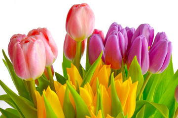 Spring bouquet. The image is isolated. 