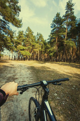 cyclist rides in the forest on a bike.