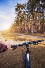 Fototapeta na wymiar cyclist rides in the forest on a bike.