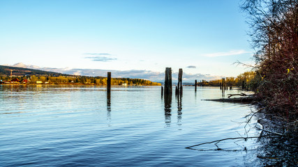 Sunset over the quiet waters of the Fraser River near Fort Langley in the Middle of Winter under blue sky