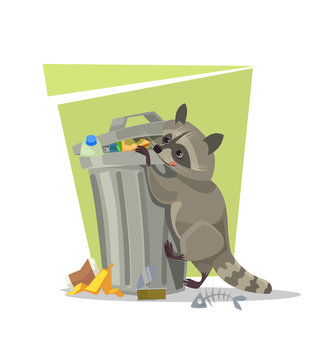 Naklejki Raccoon character looking for food in trash can. Vector flat cartoon illustration