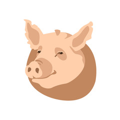 pig head vector illustration style Flat