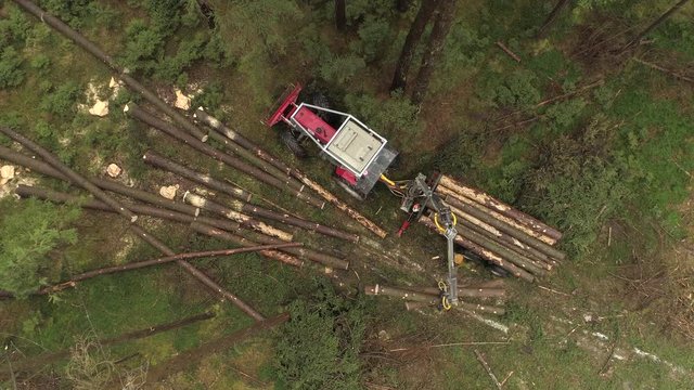 AERIAL DISTANCING Flying above logging truck lifting pile of delimbed cut tree trunks on the stacked tractor on forest clearing. Forwarder loading harvest for the transportation from stumps to sawmill