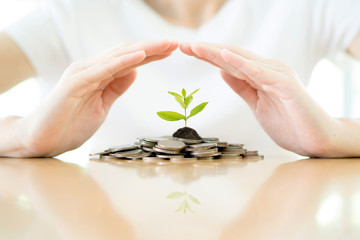 Nurturing growth financial investment in nature home office visual content calm environment future...