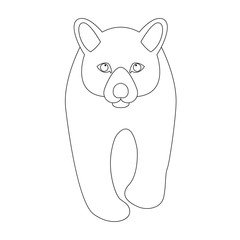 young bear vector illustration
