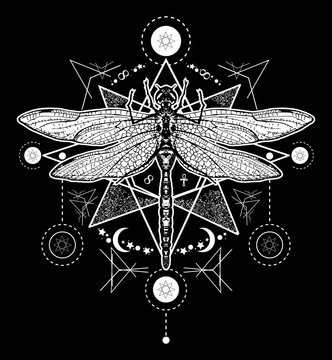 Dragonfly tattoo. Hand drawn mystical symbols and insects. Dragonfly tattoo sketch. Alchemy, religion, occultism, spirituality, dragonfly tattoo art, coloring books