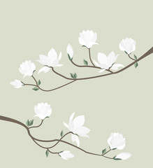 Naklejka premium Vector magnolia flowers