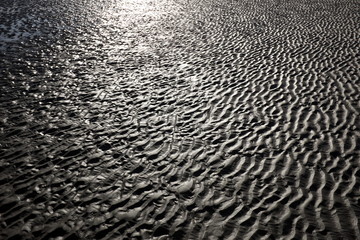 plage de sable mouillé