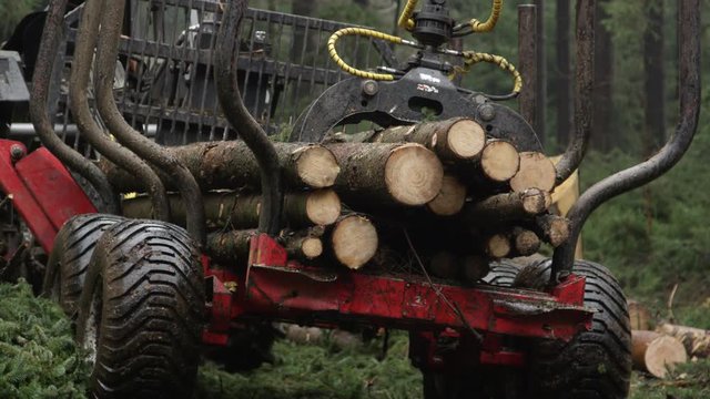 CLOSE UP, DOF: Timberjack harvester with swing arm and claw towing half loaded logging trailer and moving to the next harvest collecting location in pine forest. Transportation of logs and tree trunks
