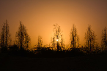 Fototapeta na wymiar Sunrises and silhouette trees