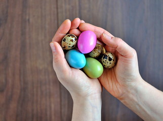 Painted and quail eggs in female palms.