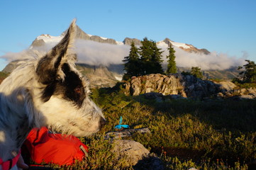 Obraz premium Exploring Washington State, the Great Pacific Northwest