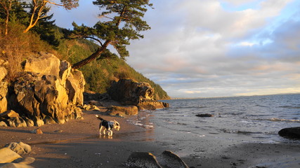 Exploring Washington State, the Great Pacific Northwest