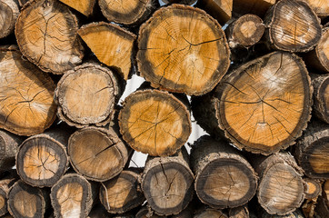 Naklejka premium Stacked Logs Texture, Natural Background