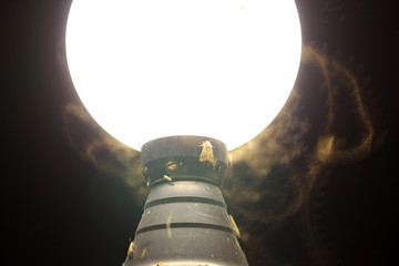 Nightlight with moths