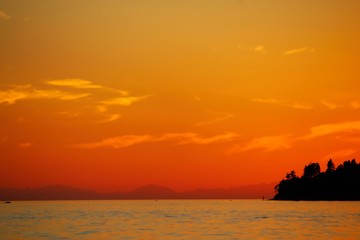 Lisa Downs Photography