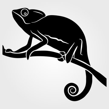 Chameleon icon on a white background