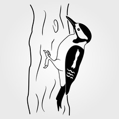 Woodpecker icon isolated on white background.