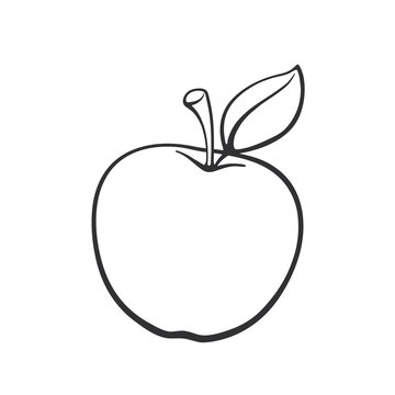 Vector illustration. Hand drawn doodle of apple with stem and leaf. Healthy vegetarian food. Cartoon sketch. Decoration for greeting cards, posters, emblems, wallpapers