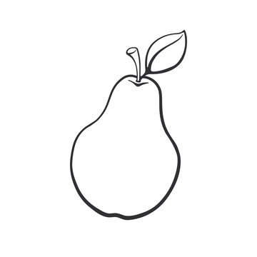 Vector illustration. Hand drawn doodle of Pear with stem and leaf. Healthy vegetarian food. Cartoon sketch. Decoration for greeting cards, posters, emblems, wallpapers