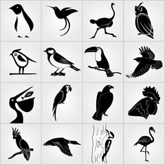 Set of Birds icons. Penguin, Bird, Pelican, Humming Bird, Owl, Eagle, Cock, Rooster, Toucan, Ostrich, Raven, Great Tit, Parrot, Woodpecker, Duck, Cockatoo and Flamingo  icons © zfmbek