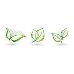 Set of green leaves. Element for design. Vector illustration