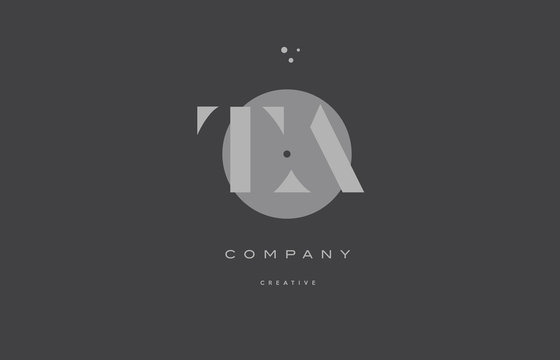 ta t a  grey modern alphabet company letter logo icon