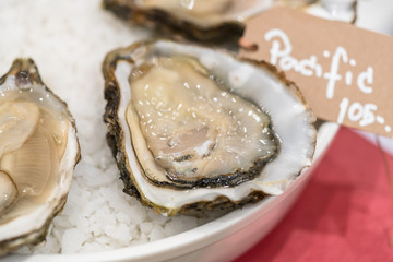 Fresh oysters platter with sauce and lemon