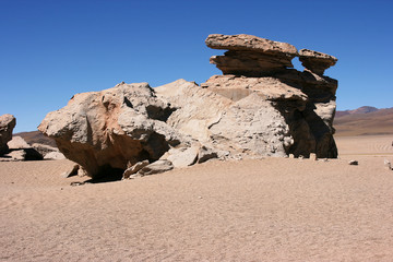 Rock formation (Arbol de Piedra) in the Eduardo Avaroa Andean Fauna National Reserve, Sur Lipez...