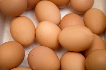 Dozens of eggs in a carton, Novi Sad, Serbia	