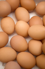 Dozens of eggs in a carton, Novi Sad, Serbia	