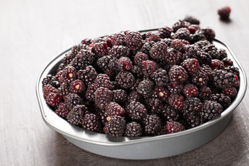 Harvested Boysenberries in silver tin container slightly angled shot on dark wooden background