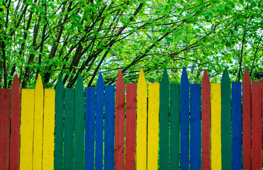 Wooden fence painted in different colors. Behind a fence of bushes grow.
