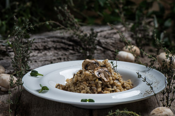 Risotto with mushrooms