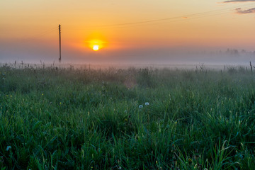 Summer. Evening. A field of grass. Sunset, fog. On the left is a pole.

