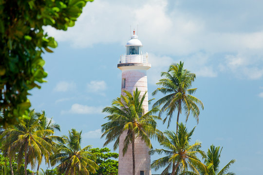 GALLE, SRI LANKA - JANUARY 26, 2016: beautiful lighthouse surrounded with palms on the wonderful sky background in Galle, Sri Lanka