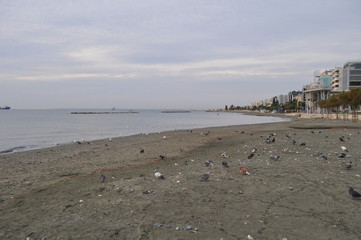 Limassol Beach