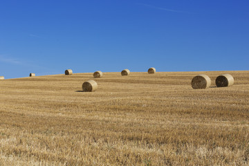 Hay Bails, Tuscany, Italy