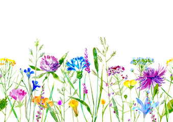 Panele Szklane Podświetlane  Kwiatowy bezszwowe granica dzikich kwiatów i ziół na białym tle. Jaskier, koniczyna, dzwonek, wyka, trawa tymotka, lobelia, kolec. Ilustracja akwarela.