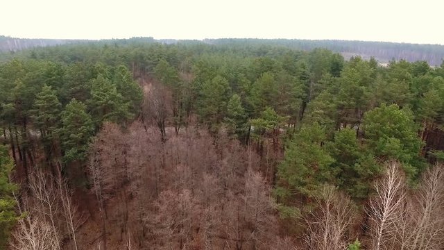 Smooth aerial view spinning of drone. Flying above forest.