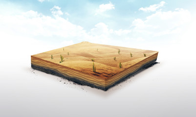 3d ilustracja glebowy plasterek, pustynia z kaktusami, piasek, diuna odizolowywająca na białym tle - 140252987