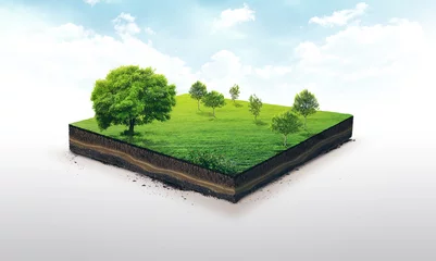 Fotobehang  3d illustration of a soil slice, green meadow with trees isolated on white © Hadi