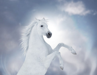 Naklejka na ściany i meble Portrait of the white reared horse on cloud background