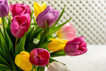 Beautiful festive bouquet of tulips on white background