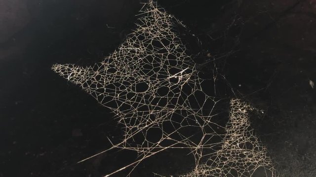 Slow motion cobweb complex structure in dust and dirt 1920X1080 HD footage - Dark attic scene with spider web swinging on wind slow-mo 1080p FullHD video 