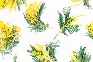 Floral pattern of mimosa on white background. Flat lay, top view.