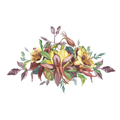 Hand drawn watercolor flowers set Bouquet of Aquilegia. Beautiful Realistic vector elements. No transparency and shadows