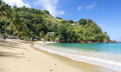 Repubblica di Trinidad e Tobago - Isola tropical di Tobago - Parlatuvier bay - Spiaggia tropicale...