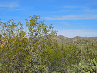 Scenic views of vast expanses of mountains, rocky ridges, and vegetation abound from Route 88 in Tonto National Forest, also known as the Apache Trail.