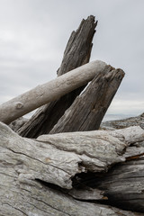 Driftwood on the beach in the Pacific Northwest